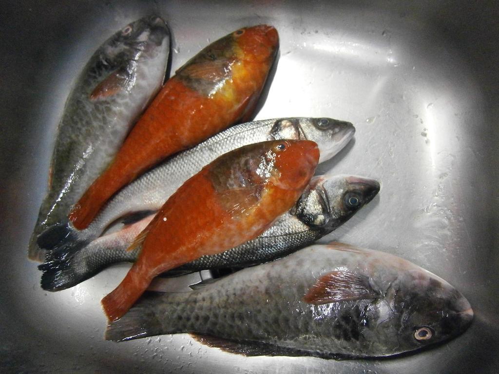 艾姆菲公寓 Kardamena  外观 照片