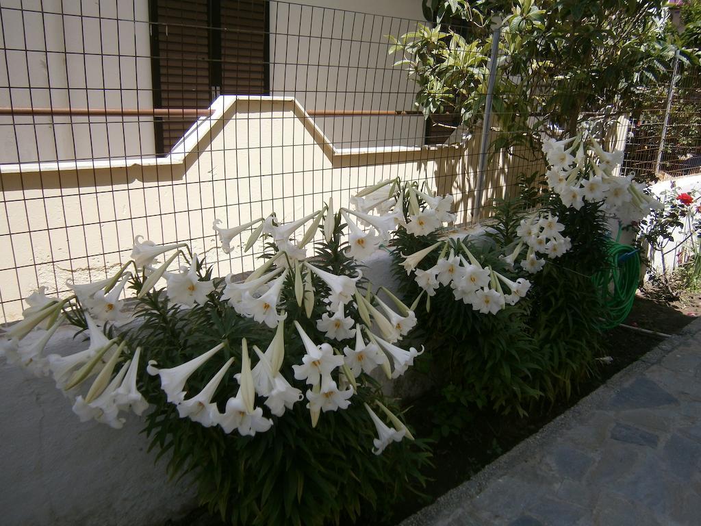 艾姆菲公寓 Kardamena  外观 照片